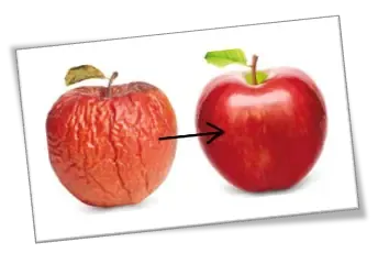 Faltenkiller: Frischer Apfel und verschrumpelter Apfel